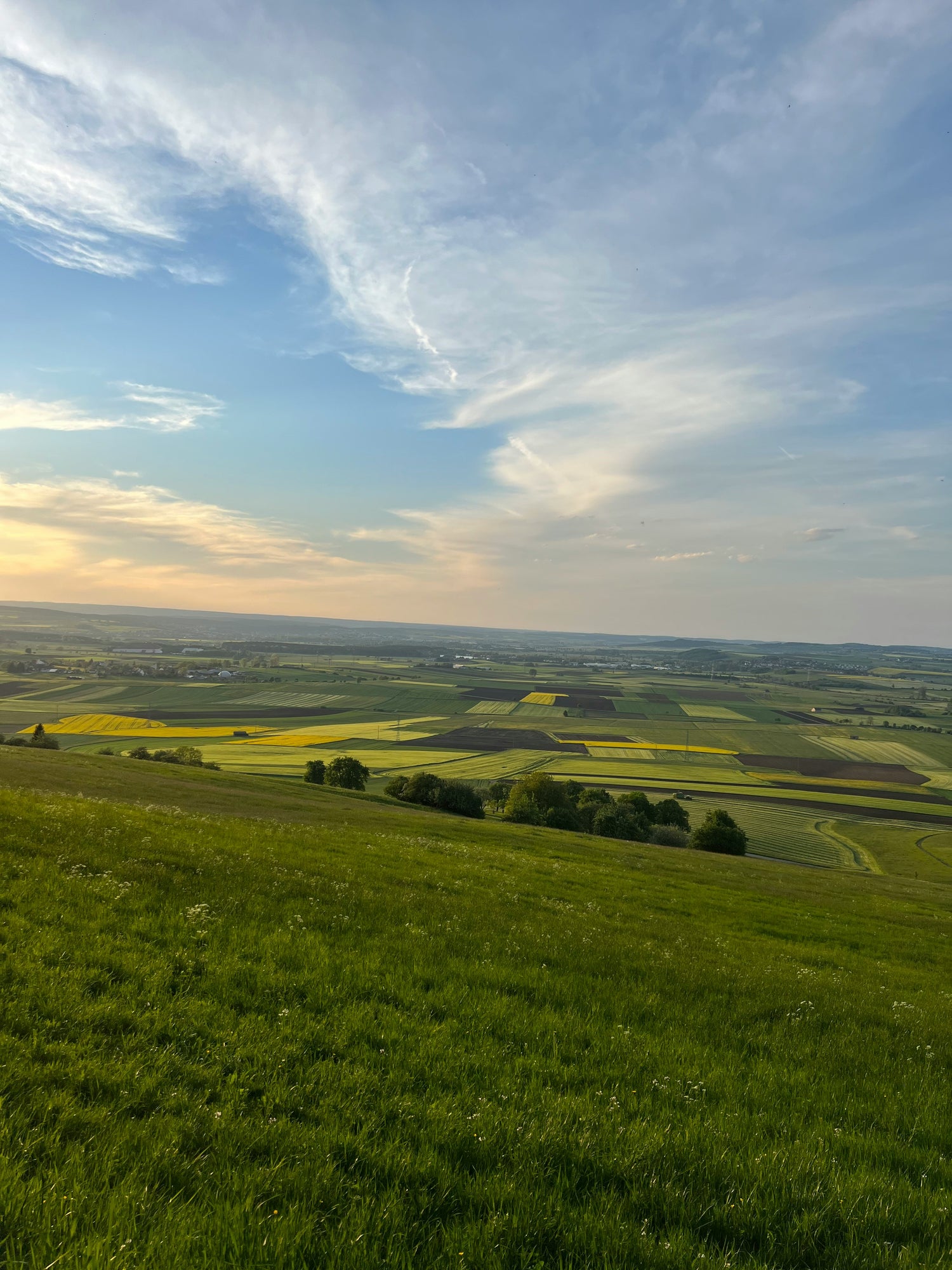 ein grünes Feld mit blauem Himmel im Hintergrund